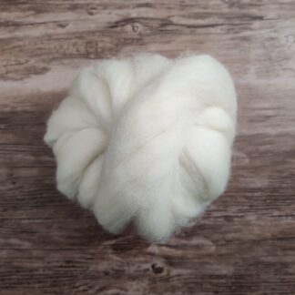 Shetland combed top