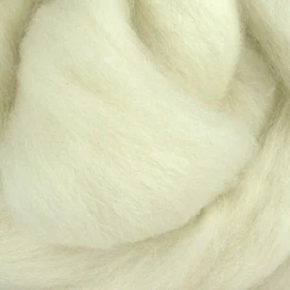 Polwarth combed top